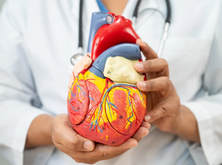 Cardiology Treatment